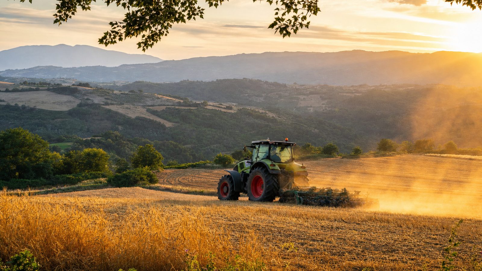 Contributo regionale caro carburanti per le imprese agricole
